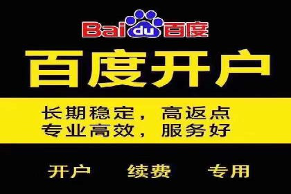 行业领先企业如何通过SEM运营提升ROI